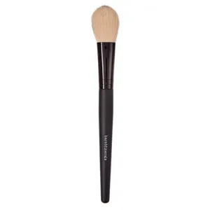 Dual Finish Blush & Contour Brush