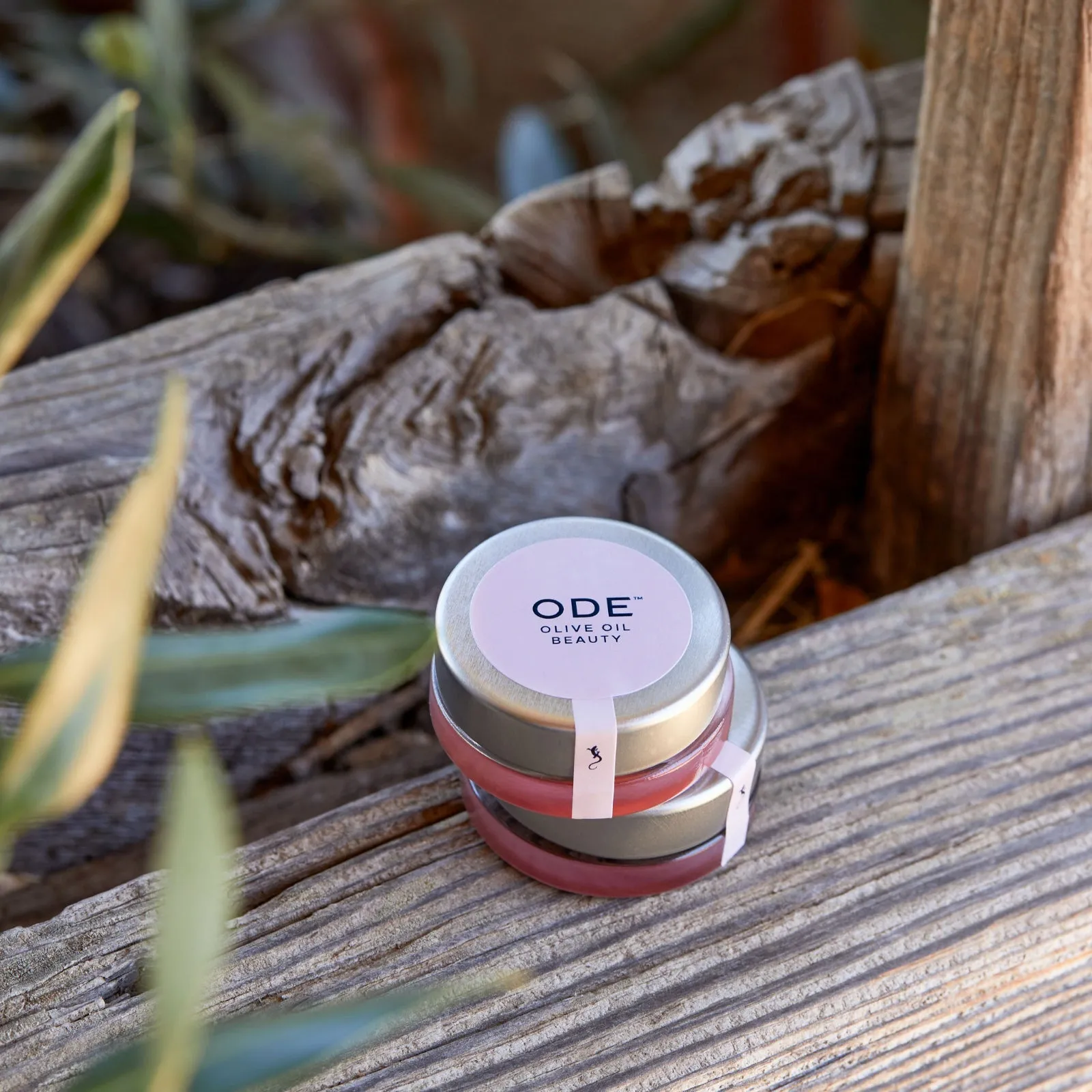 Kiss of Blush Lip Balm