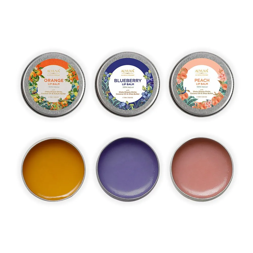 Lip BalmsCombo- Natural Orange, Blueberry & Peach Lip Balms, 7gms Each