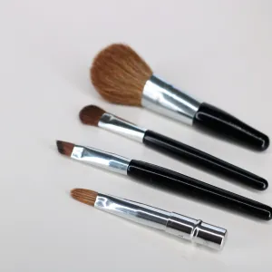 Mini Essential Brush set